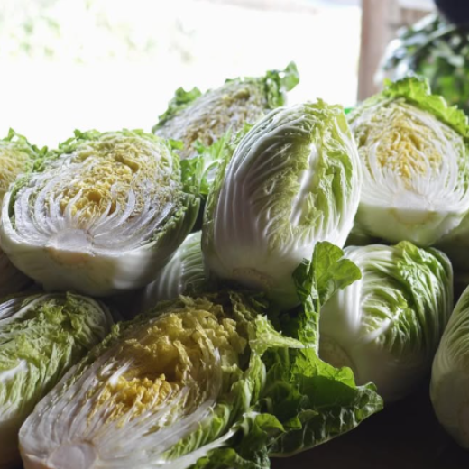冬野菜セット