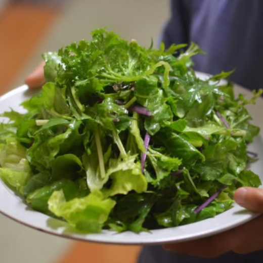 春野菜 料理